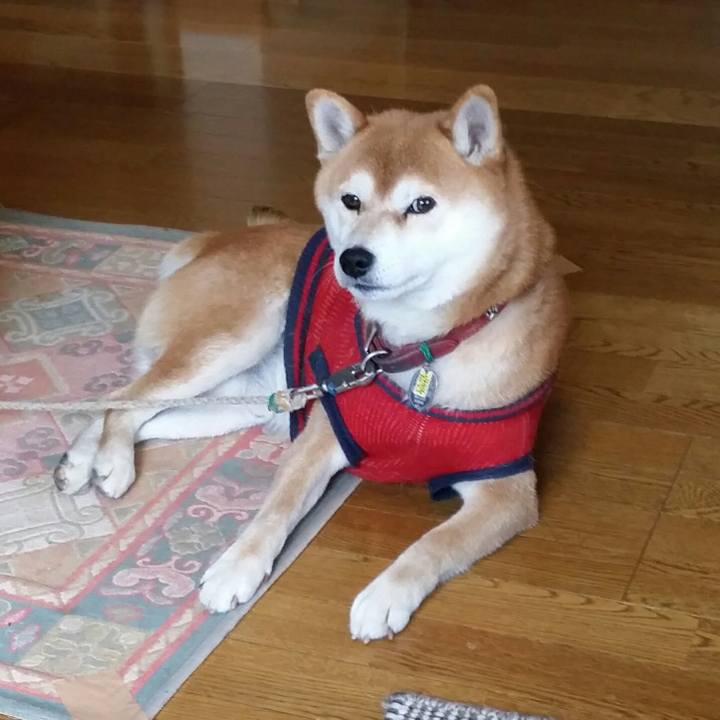 72db422c 31f4 48ed a9bd 291e267835be