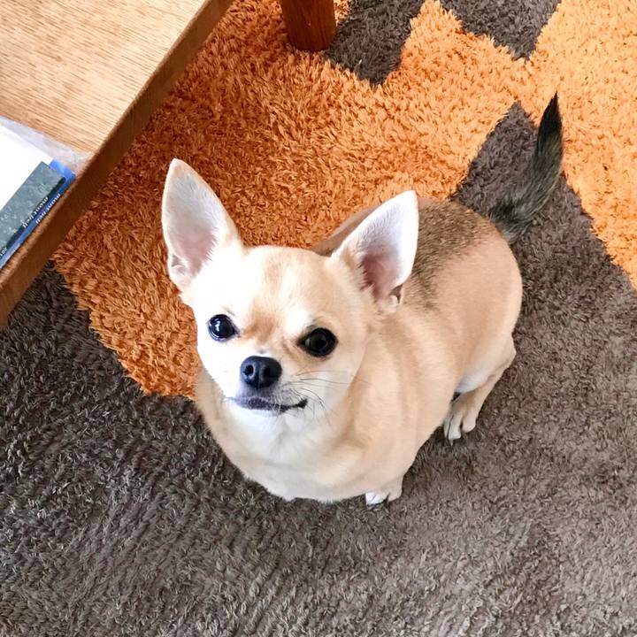 72db8649 5a23 470a 80fc 78c19111457f