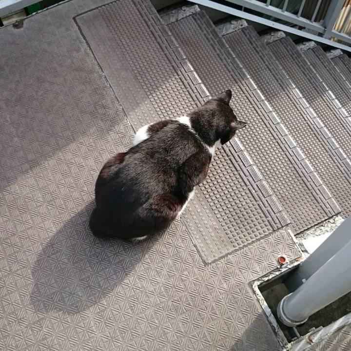 72dbb915 05f4 4bba 94d5 0f9cd079fa5b