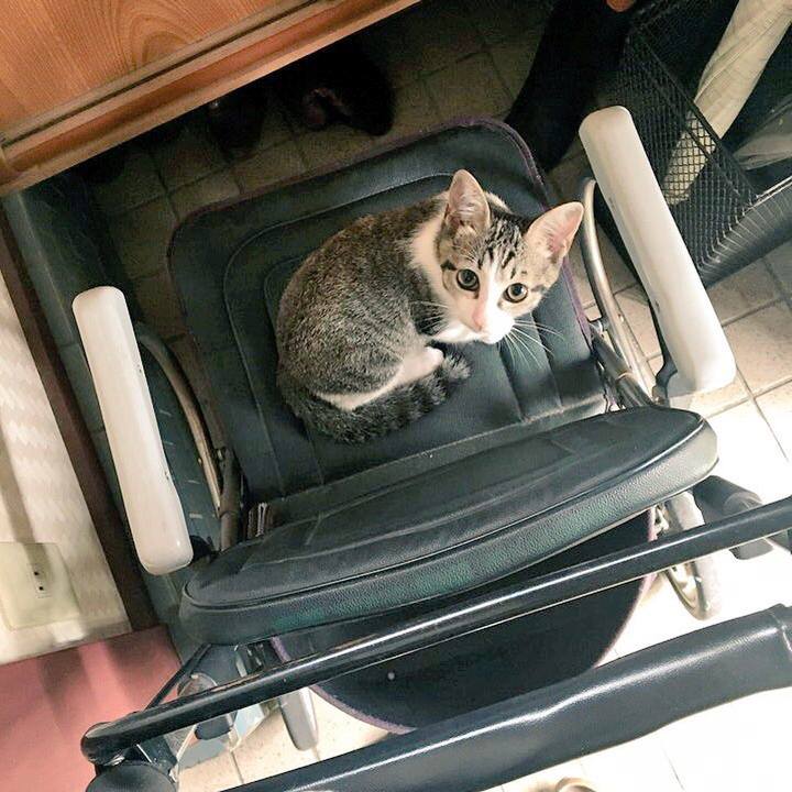 72dbc3fe e87c 4f95 8741 7c866185cae6