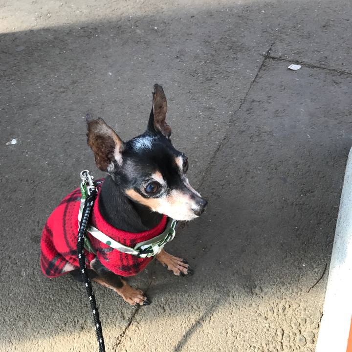 72dbe791 bf20 4ce9 9d09 b57da79c7a3b