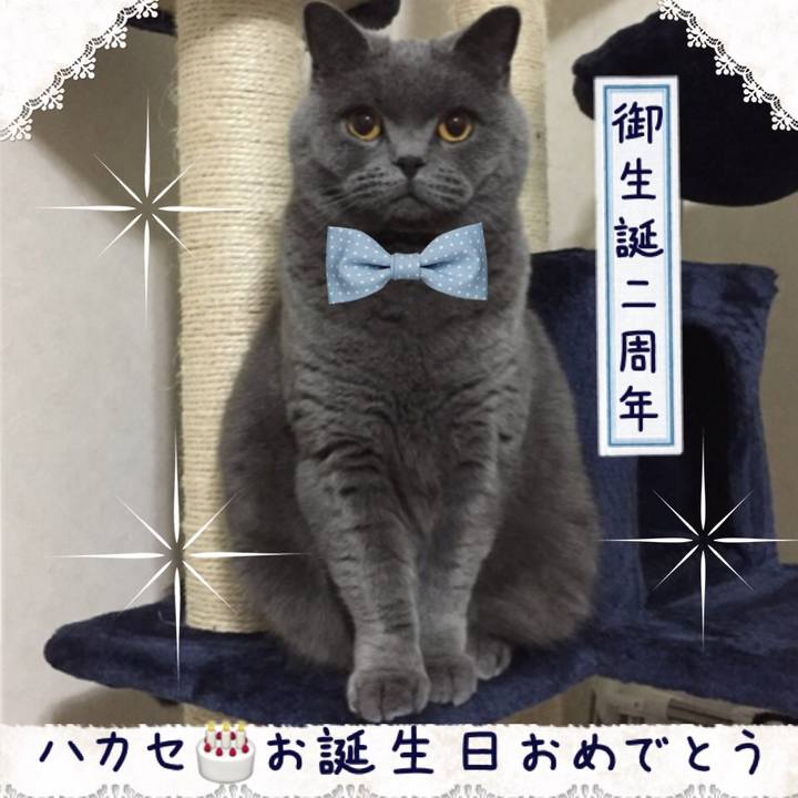 72dd5871 9c33 4019 ad4a e0cfe0c49c93