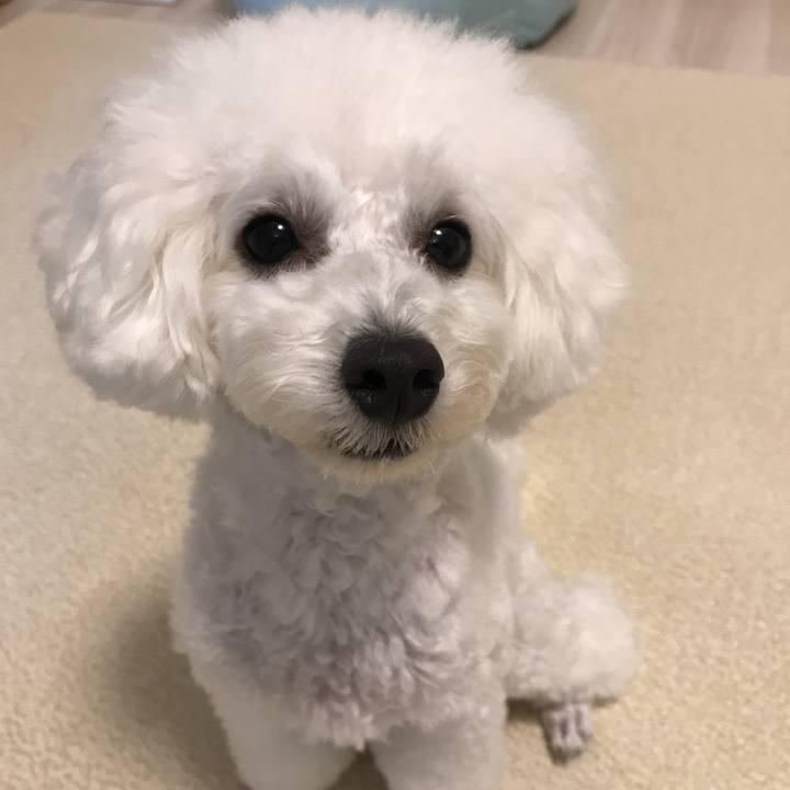 72dd6620 5e32 47f1 b124 60dd0461e4ee