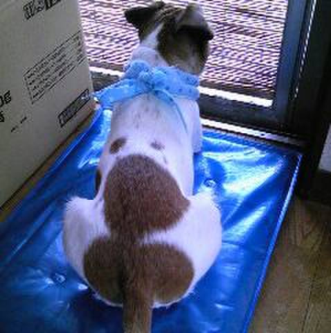 72ddbdf1 ffaa 4aa8 acd3 acc4bc4de8c3