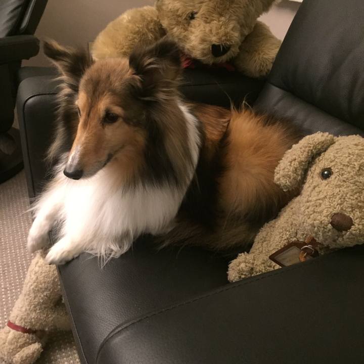 72de9e66 a275 4669 b7e7 b6f89402856b