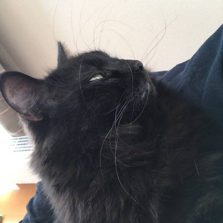 72deca7c 64eb 487f a22b 8b4dd2ed09b1