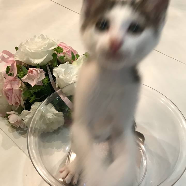 72df71d8 a838 453c bf1c cc0c14e3a3c5