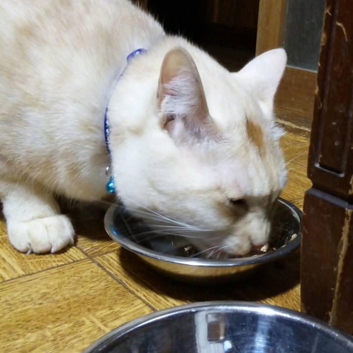 72df96fa 3043 410b 9086 e2fa94a72d9c