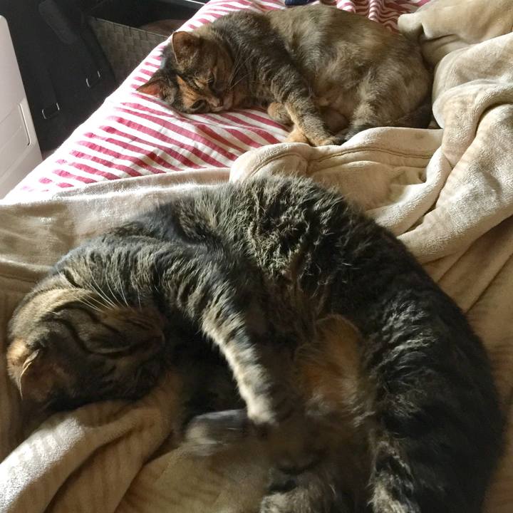 72e01c9e 6201 4c0c 9c18 fbdd0f84404f