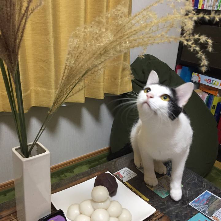 72e07513 510d 4a61 8785 f8564033b41b