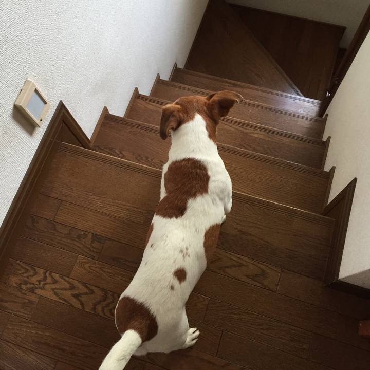 72e0f1eb 2253 4dab a787 a73e2fe2bcdb