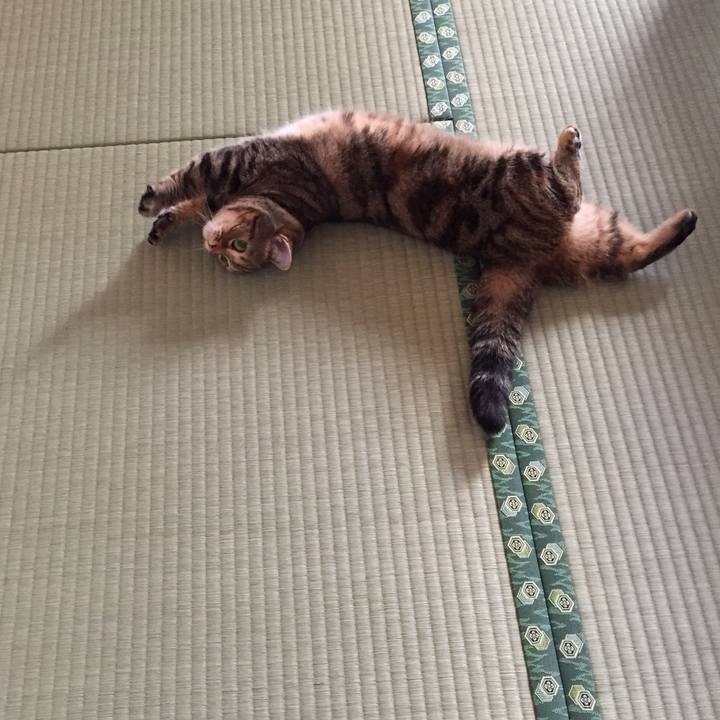 72e1d435 b1d1 44c1 830e e52eb6137c7b