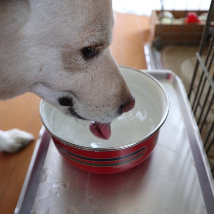 72e20b87 3f2d 436d aa99 cfe8c1706b79