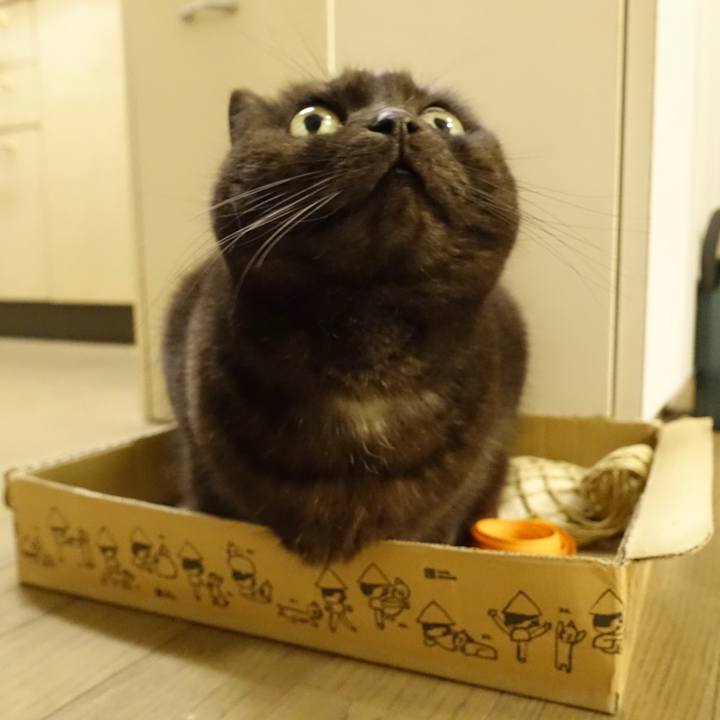 72e20cb7 89d6 405a b8aa 03e11961a4a1