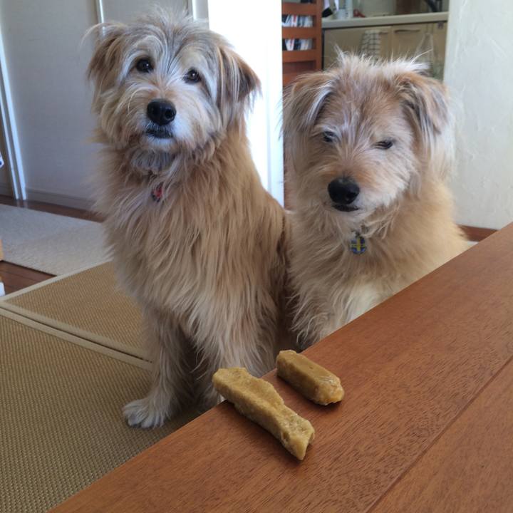 72e29af0 3de2 4cf8 885b 04dd14917968