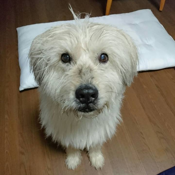 72e2b8dd 6cc8 4a46 bcd4 51fc23585bf5