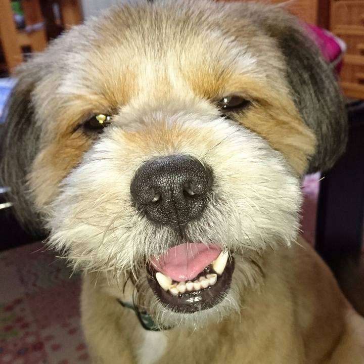 72e386d6 f56b 4e6f bd05 7fbd0a10abda