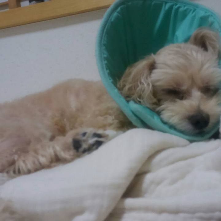 72e41480 53cc 4540 a00a d42ae38fb6fe