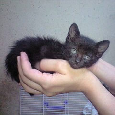 72e423f5 ab51 4d87 aa63 a53423067f21