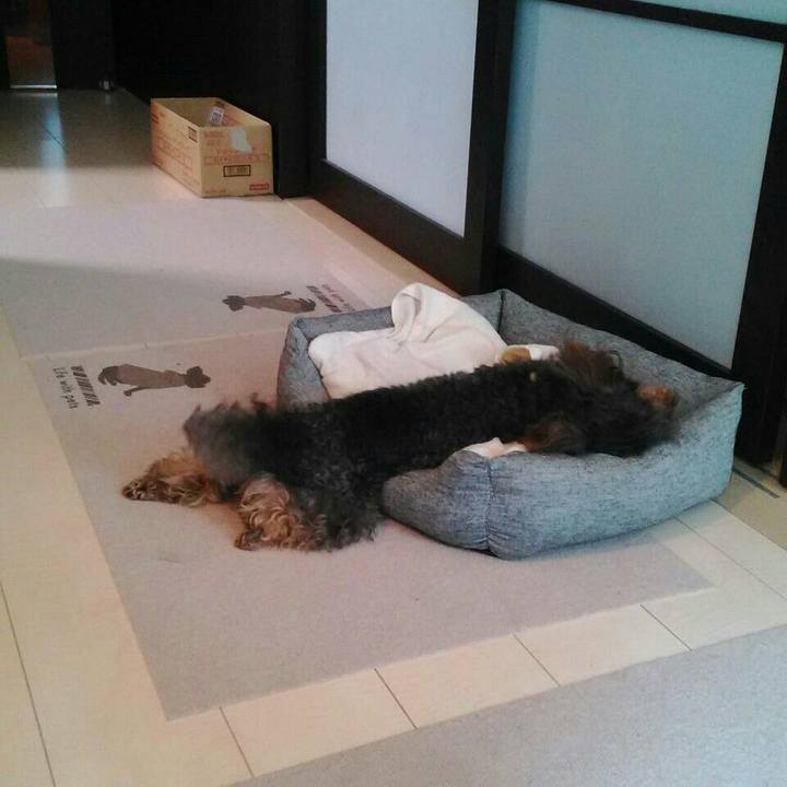 72e4b989 5041 42cf 9f61 4cf7e1c67b39