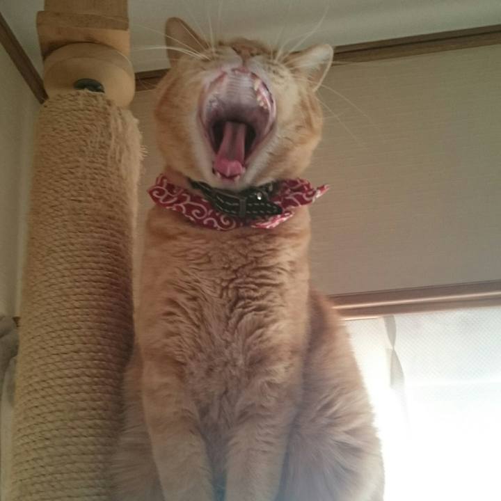 72e4d645 3849 4161 9e36 e98727a10394