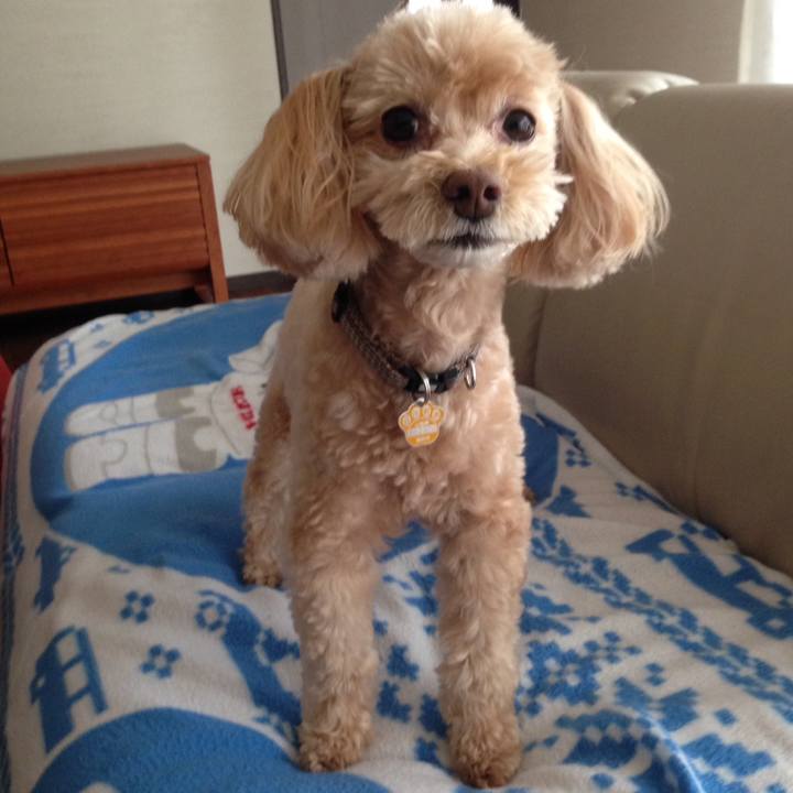 72e506cf d9d0 4261 9f9f 6152edd47f17