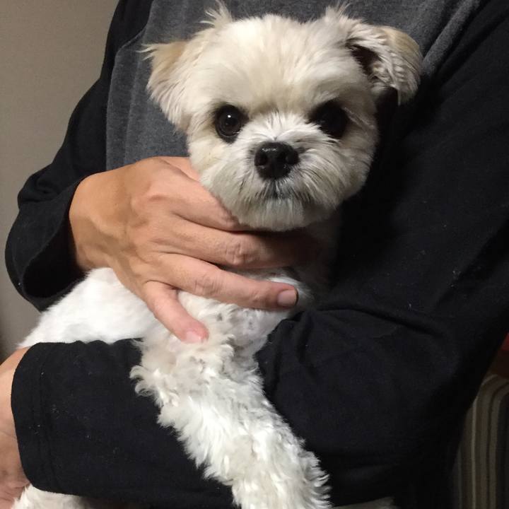 72e58c6f 9ef6 4e43 828b 52b92b2c349d