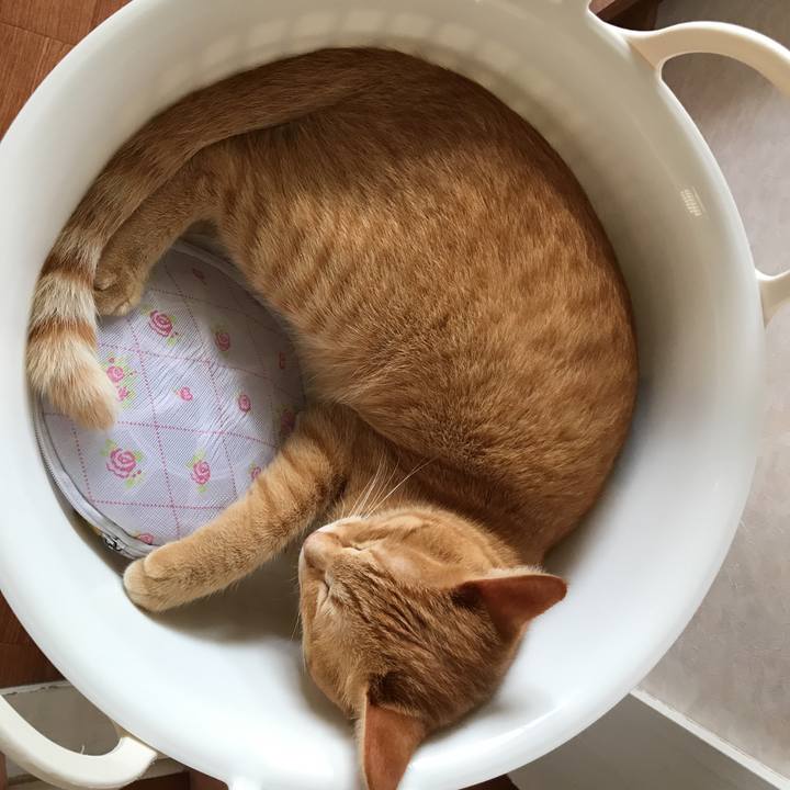 72e59b49 b0c4 4198 89b0 67f68e3b99a9