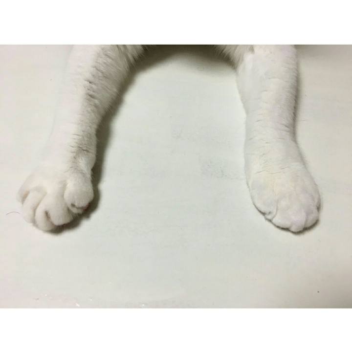 72e5bc90 2294 459f ad5a 96f55746ff09