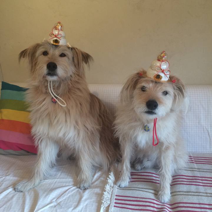 72e64804 d7f2 4155 8534 bead9d58a179