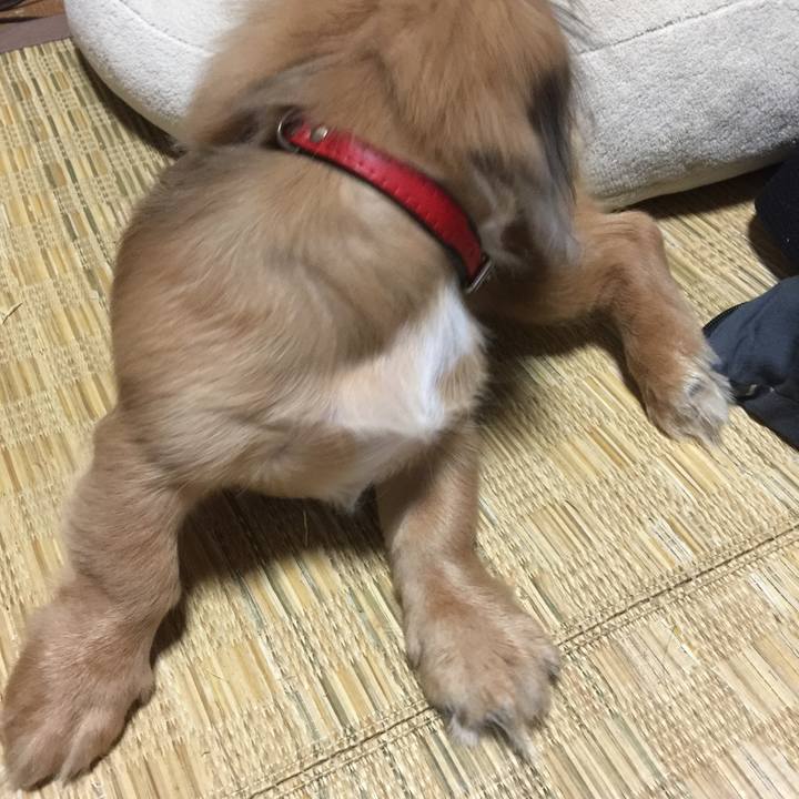 72e66623 dbfa 4bae afbb 757d5aa54198