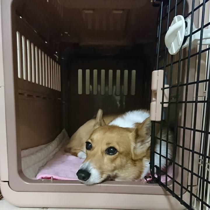 72e7ea4f 1e73 4f08 80cb 802d544959bd