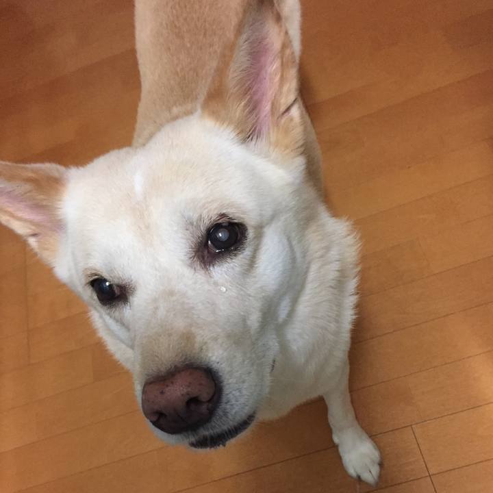 72e7f7c5 811d 4611 bebc 78824c25d2ac