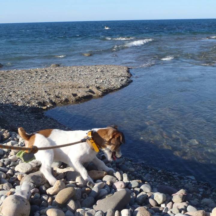 72e84054 8d0e 4ab3 abcb 7272e75c9500