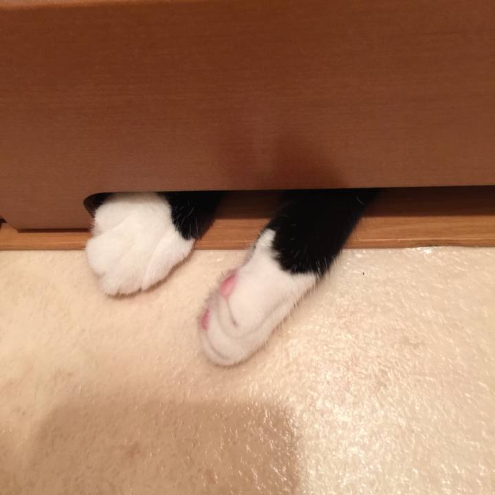 72e90961 1262 4083 b3e0 4add5d4e3dac