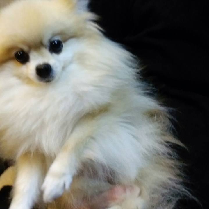 72e99783 67ce 4965 8ff2 e594cb783263