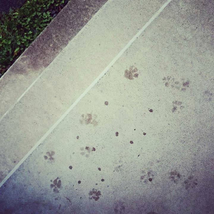 72e9b288 5552 42c1 9c42 7158b5071658