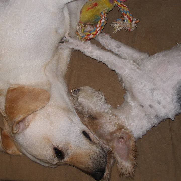 72e9ff9e a3bf 4102 8135 0034af7881e2