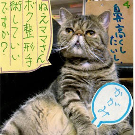 72eb8d78 ed3e 4a87 a652 53716074a948