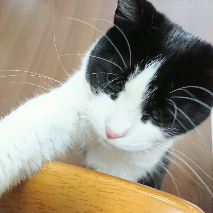 72eb95ca 1a46 4c94 a1b0 27020bb37dbf