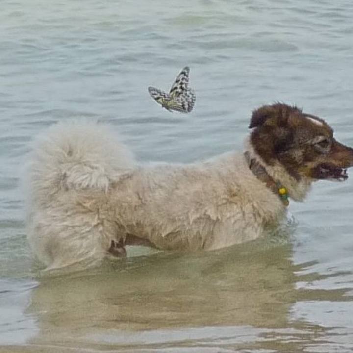 72ebea06 80e6 48f7 b7a6 9c209bb06f43