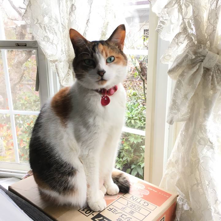 72ed2ddb c6d3 4362 9a21 e411ae26406c