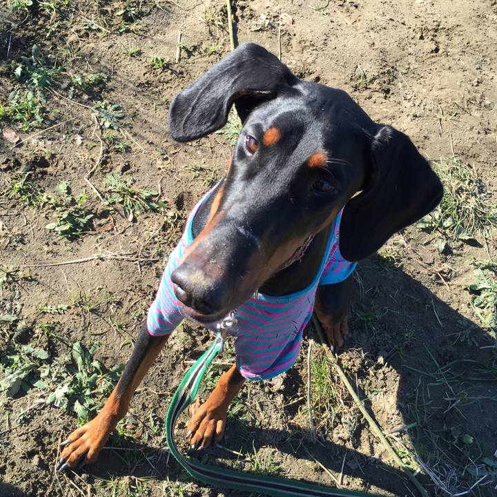 72ee2845 1de0 46a7 8350 4defb325420a