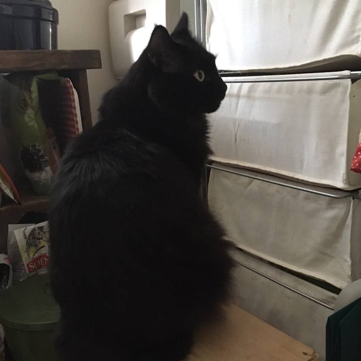 72ee373e 036f 40fc 9d7c 3749e23bea53