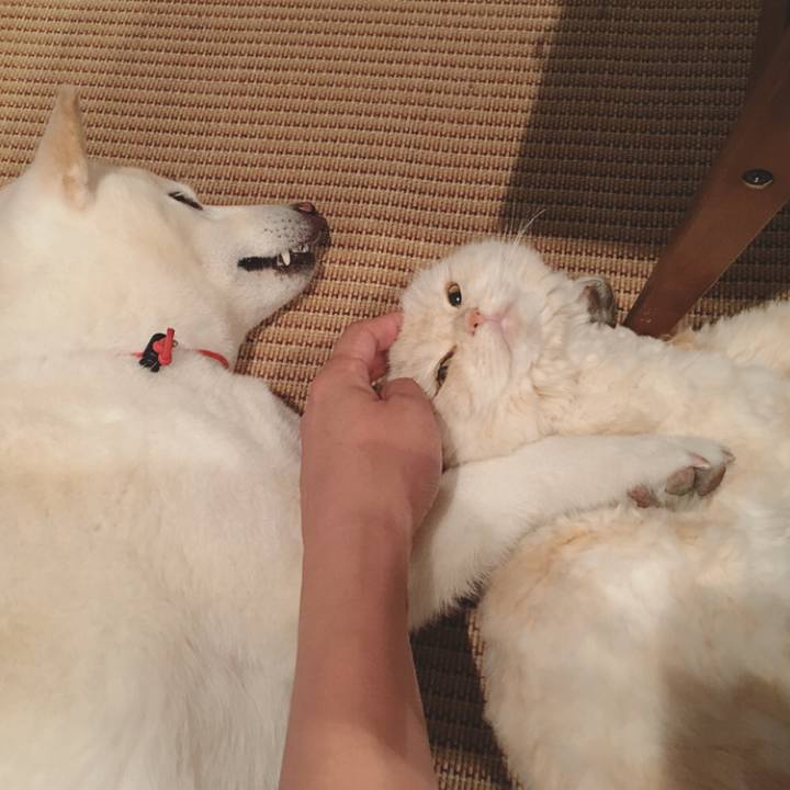 72eea80e 14e4 4611 ae7b 58297481566e