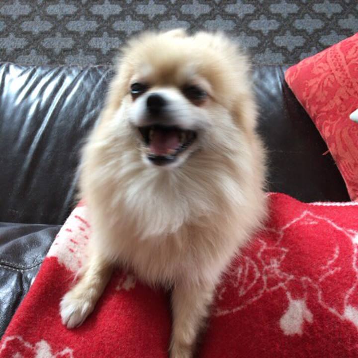 72eeae0e 6140 43d0 abbe 690a607b61b8