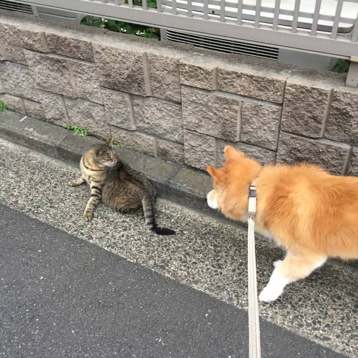 72eece1c 3bcc 490c 8ccb 9ff63570e6b2