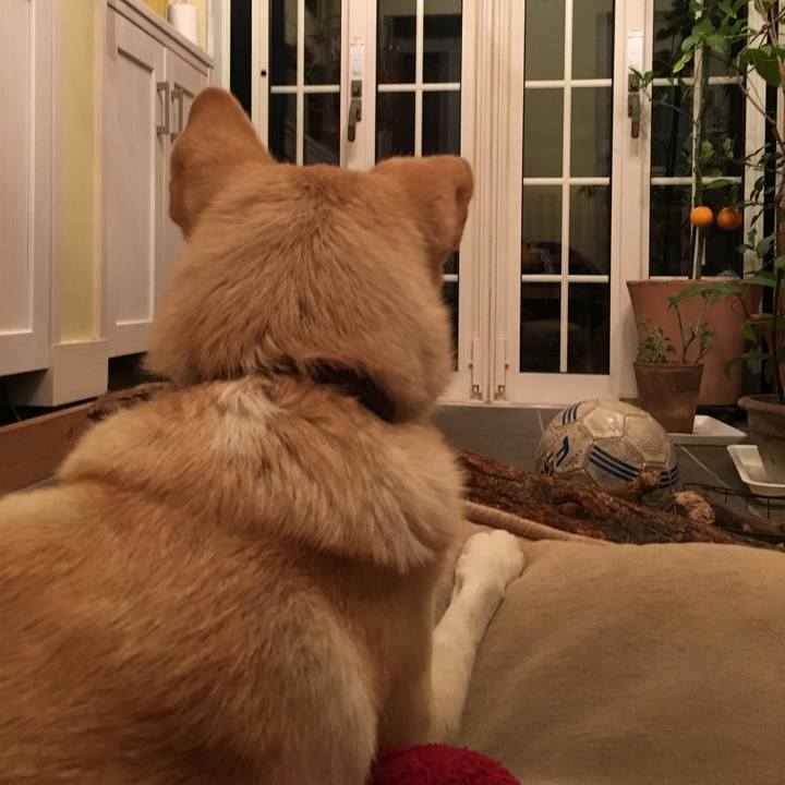 72ef2bf4 129b 48b3 890f a07ac3b3eb4b