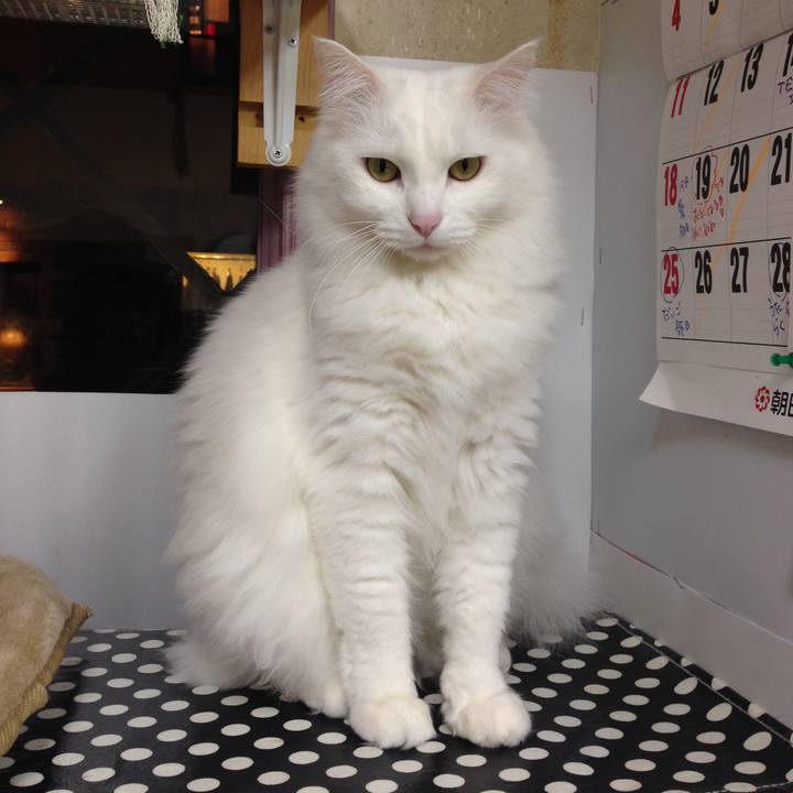 72ef307d 612a 43ee ab63 f636ee6db20a