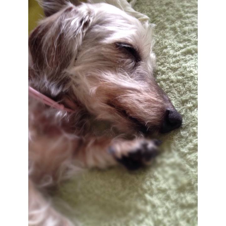 72ef34d5 6e09 42f4 974a 01cac54a310e